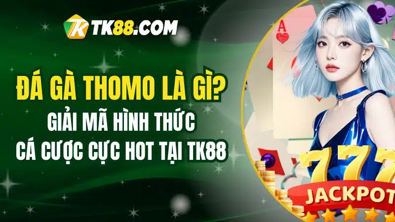 Đá Gà Thomo Là Gì