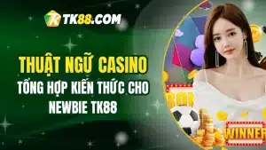 Thuật Ngữ Casino TK88